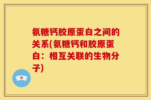 氨糖钙胶原蛋白之间的关系(氨糖钙和胶原蛋白：相互关联的生物分子)
