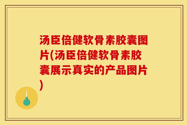 汤臣倍健软骨素胶囊图片(汤臣倍健软骨素胶囊展示真实的产品图片)