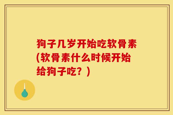 狗子几岁开始吃软骨素(软骨素什么时候开始给狗子吃？)
