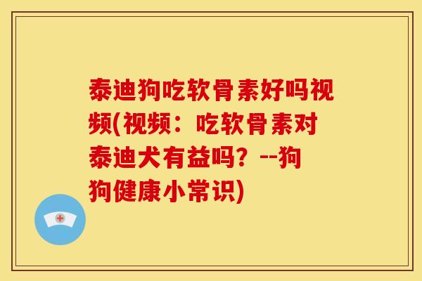 泰迪狗吃软骨素好吗视频(视频：吃软骨素对泰迪犬有益吗？--狗狗健康小常识)