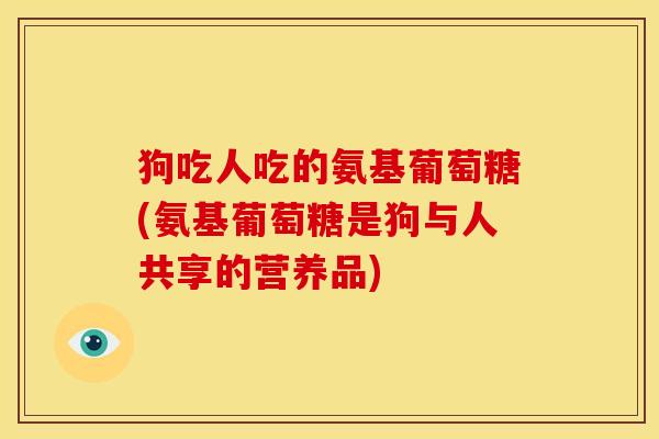 狗吃人吃的氨基葡萄糖(氨基葡萄糖是狗与人共享的营养品)