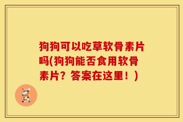 狗狗可以吃草软骨素片吗(狗狗能否食用软骨素片？答案在这里！)