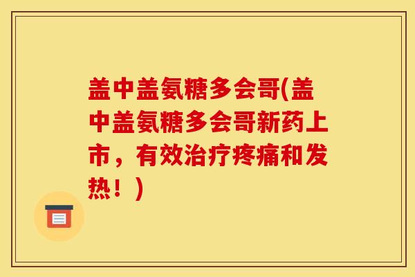盖中盖氨糖多会哥(盖中盖氨糖多会哥新药上市，有效治疗疼痛和发热！)