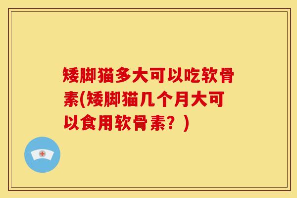 矮脚猫多大可以吃软骨素(矮脚猫几个月大可以食用软骨素？)