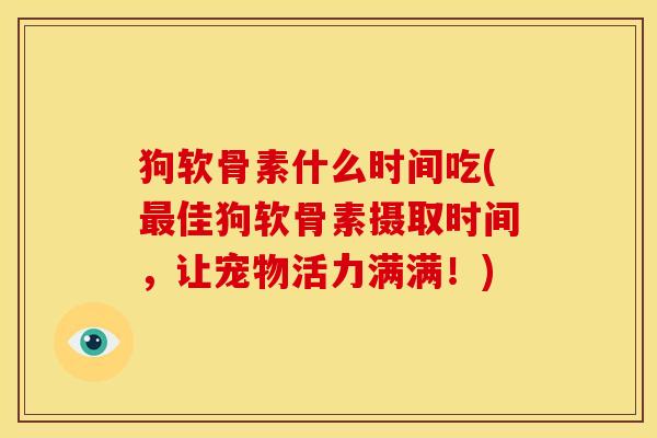 狗软骨素什么时间吃(最佳狗软骨素摄取时间，让宠物活力满满！)