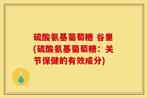 硫酸氨基葡萄糖 谷里(硫酸氨基葡萄糖：关节保健的有效成分)