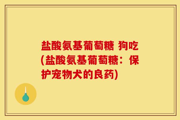 盐酸氨基葡萄糖 狗吃(盐酸氨基葡萄糖：保护宠物犬的良药)