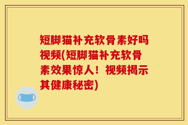 短脚猫补充软骨素好吗视频(短脚猫补充软骨素效果惊人！视频揭示其健康秘密)