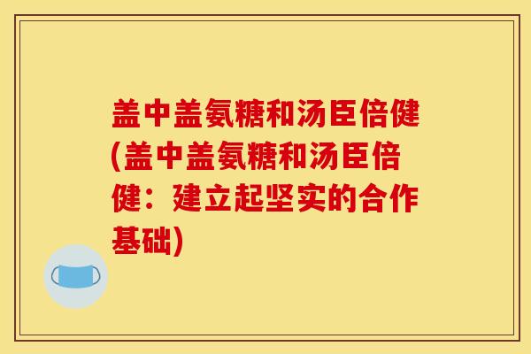 盖中盖氨糖和汤臣倍健(盖中盖氨糖和汤臣倍健：建立起坚实的合作基础)