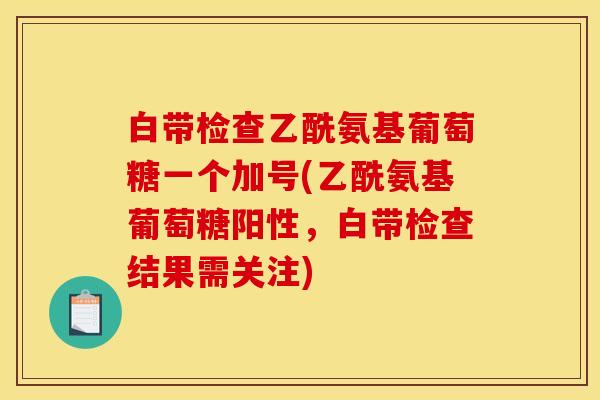 白带检查乙酰氨基葡萄糖一个加号(乙酰氨基葡萄糖阳性，白带检查结果需关注)