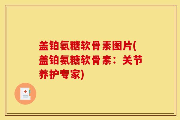 盖铂氨糖软骨素图片(盖铂氨糖软骨素：关节养护专家)