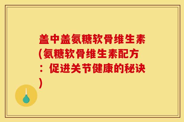盖中盖氨糖软骨维生素(氨糖软骨维生素配方：促进关节健康的秘诀)