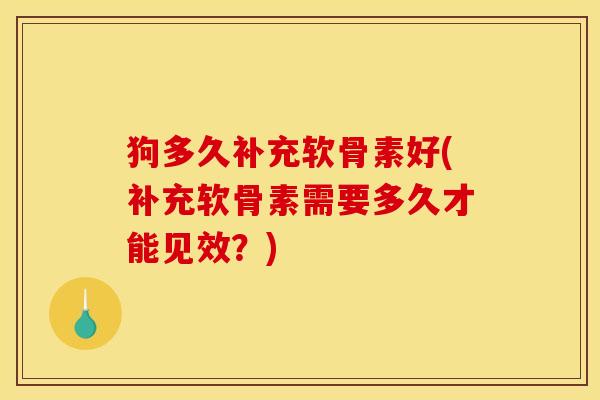 狗多久补充软骨素好(补充软骨素需要多久才能见效？)