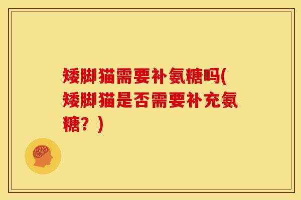 矮脚猫需要补氨糖吗(矮脚猫是否需要补充氨糖？)