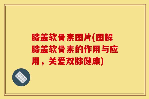 膝盖软骨素图片(图解膝盖软骨素的作用与应用，关爱双膝健康)