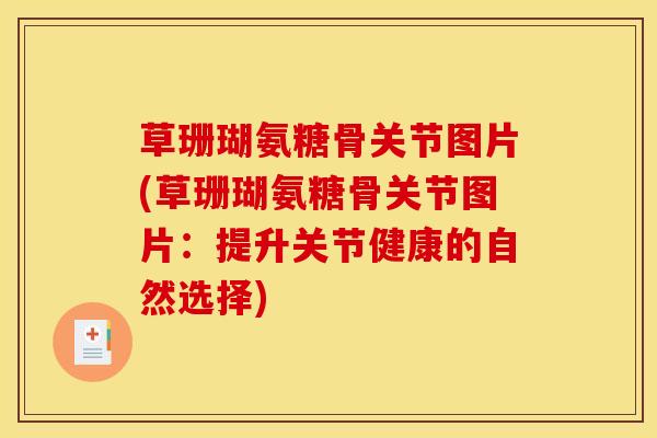 草珊瑚氨糖骨关节图片(草珊瑚氨糖骨关节图片：提升关节健康的自然选择)