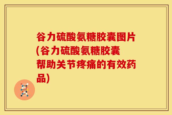 谷力硫酸氨糖胶囊图片(谷力硫酸氨糖胶囊 帮助关节疼痛的有效药品)