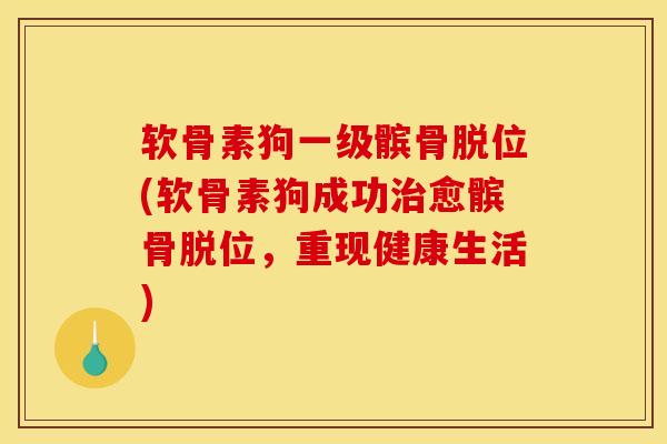 软骨素狗一级髌骨脱位(软骨素狗成功治愈髌骨脱位，重现健康生活)