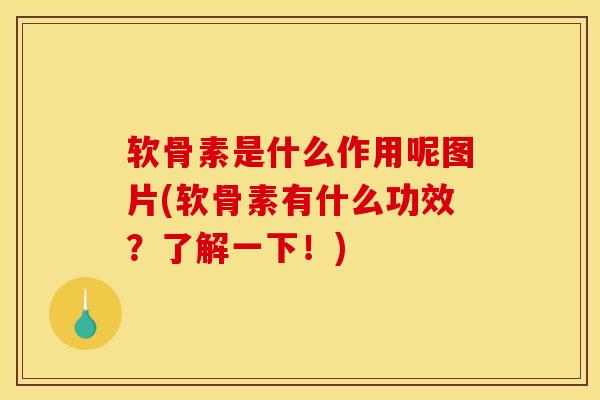 软骨素是什么作用呢图片(软骨素有什么功效？了解一下！)