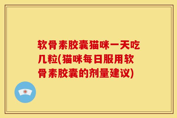 软骨素胶囊猫咪一天吃几粒(猫咪每日服用软骨素胶囊的剂量建议)
