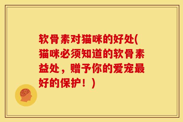 软骨素对猫咪的好处(猫咪必须知道的软骨素益处，赠予你的爱宠最好的保护！)