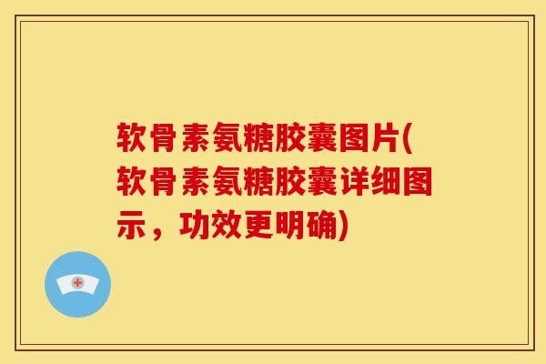 软骨素氨糖胶囊图片(软骨素氨糖胶囊详细图示，功效更明确)