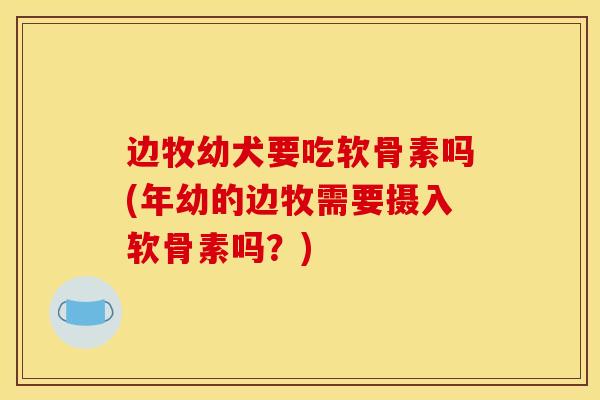 边牧幼犬要吃软骨素吗(年幼的边牧需要摄入软骨素吗？)