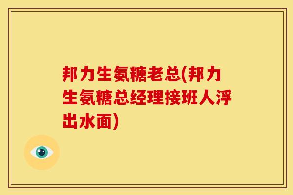邦力生氨糖老总(邦力生氨糖总经理接班人浮出水面)