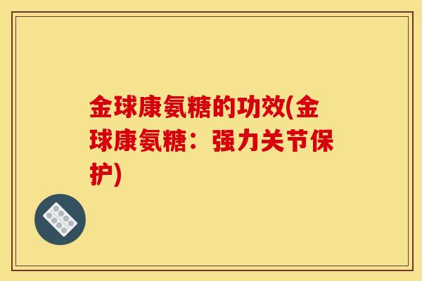 金球康氨糖的功效(金球康氨糖：强力关节保护)