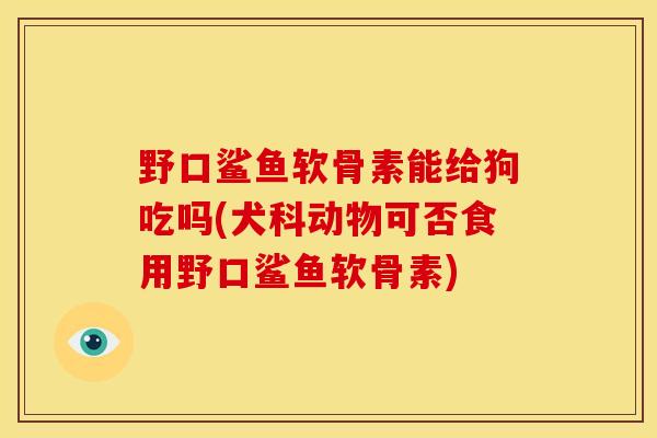 野口鲨鱼软骨素能给狗吃吗(犬科动物可否食用野口鲨鱼软骨素)