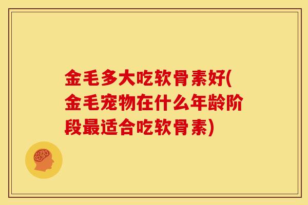 金毛多大吃软骨素好(金毛宠物在什么年龄阶段最适合吃软骨素)