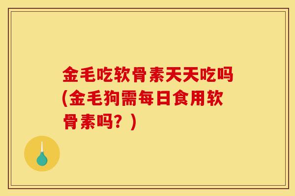 金毛吃软骨素天天吃吗(金毛狗需每日食用软骨素吗？)