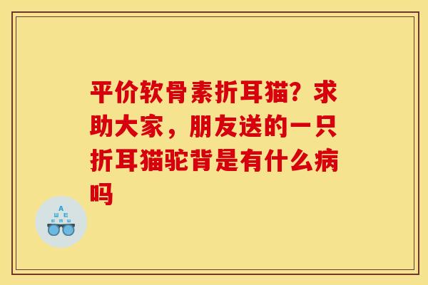 平价软骨素折耳猫？求助大家，朋友送的一只折耳猫驼背是有什么病吗
