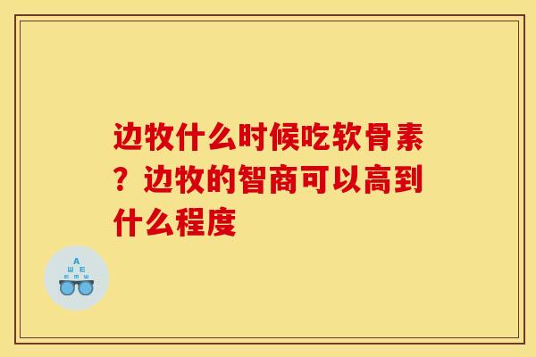 边牧什么时候吃软骨素？边牧的智商可以高到什么程度