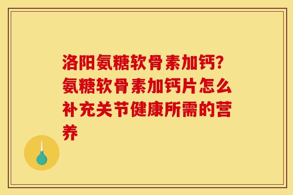 洛阳氨糖软骨素加钙？氨糖软骨素加钙片怎么补充关节健康所需的营养