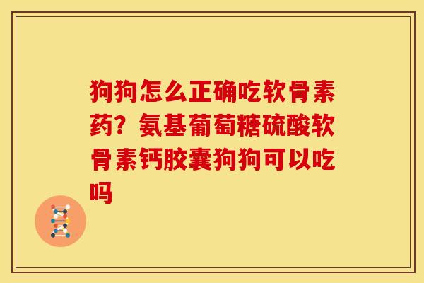 狗狗怎么正确吃软骨素药？氨基葡萄糖硫酸软骨素钙胶囊狗狗可以吃吗