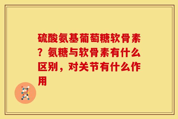 硫酸氨基葡萄糖软骨素？氨糖与软骨素有什么区别，对关节有什么作用