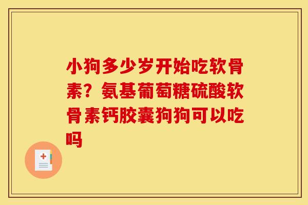 小狗多少岁开始吃软骨素？氨基葡萄糖硫酸软骨素钙胶囊狗狗可以吃吗