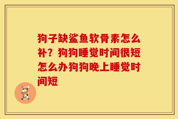 狗子缺鲨鱼软骨素怎么补？狗狗睡觉时间很短怎么办狗狗晚上睡觉时间短