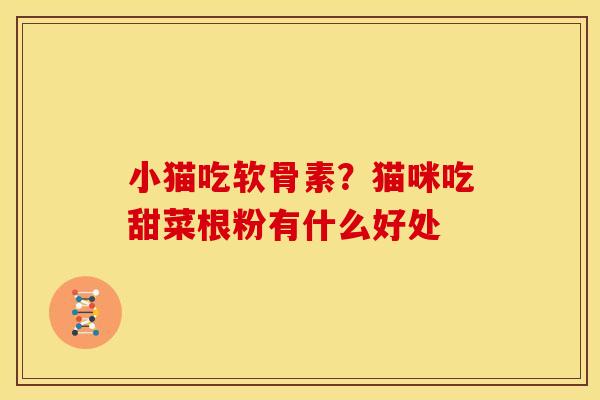 小猫吃软骨素？猫咪吃甜菜根粉有什么好处