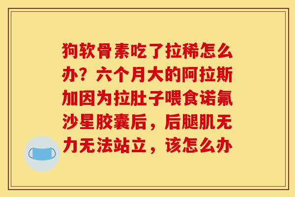 狗软骨素吃了拉稀怎么办？六个月大的阿拉斯加因为拉肚子喂食诺氟沙星胶囊后，后腿肌无力无法站立，该怎么办