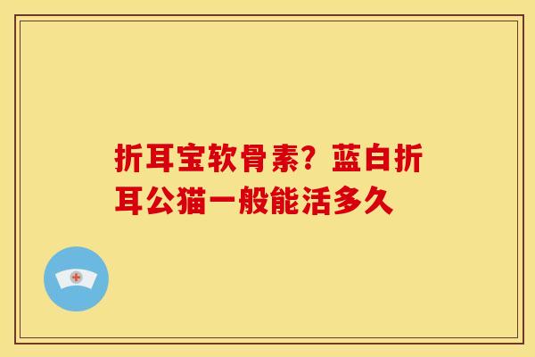 折耳宝软骨素？蓝白折耳公猫一般能活多久