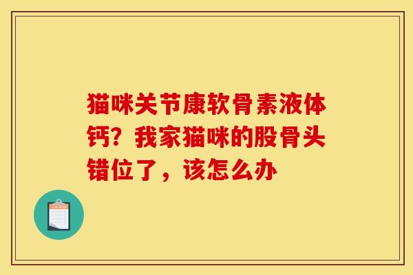 猫咪关节康软骨素液体钙？我家猫咪的股骨头错位了，该怎么办