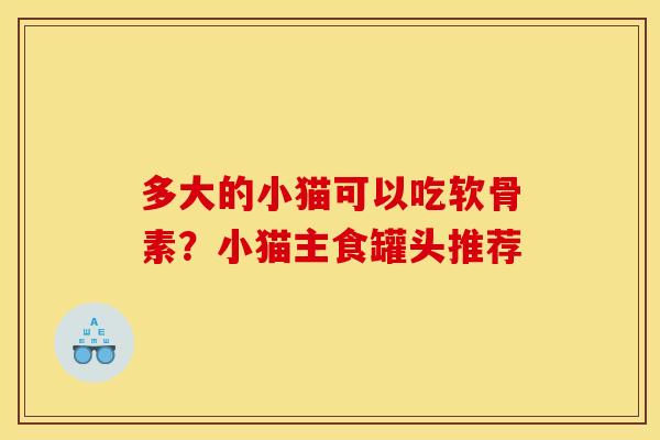 多大的小猫可以吃软骨素？小猫主食罐头推荐