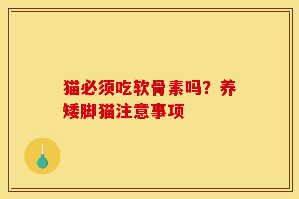猫必须吃软骨素吗？养矮脚猫注意事项