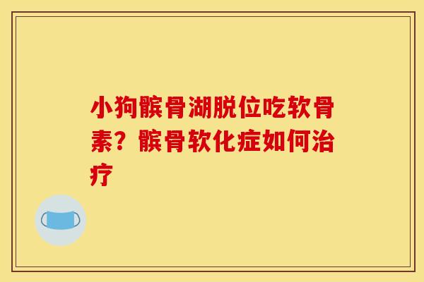 小狗髌骨湖脱位吃软骨素？髌骨软化症如何治疗