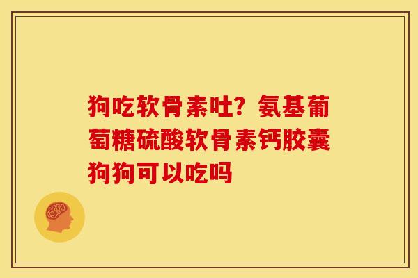 狗吃软骨素吐？氨基葡萄糖硫酸软骨素钙胶囊狗狗可以吃吗