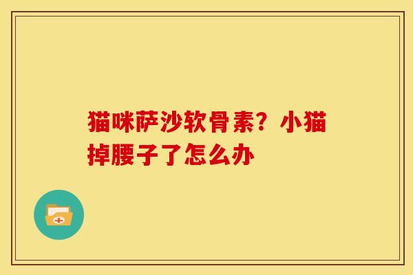 猫咪萨沙软骨素？小猫掉腰子了怎么办