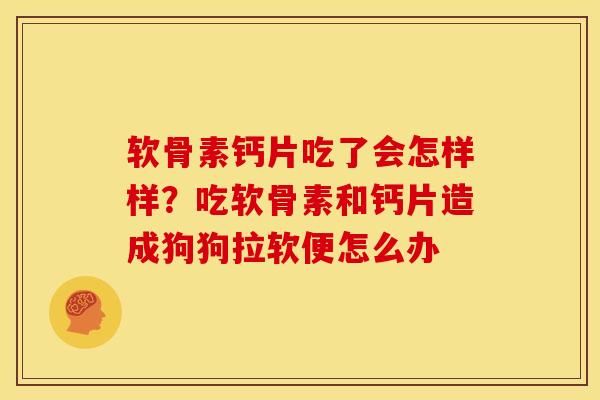 软骨素钙片吃了会怎样样？吃软骨素和钙片造成狗狗拉软便怎么办