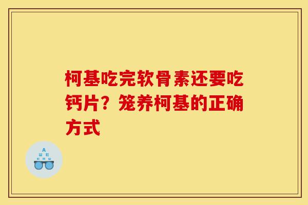 柯基吃完软骨素还要吃钙片？笼养柯基的正确方式